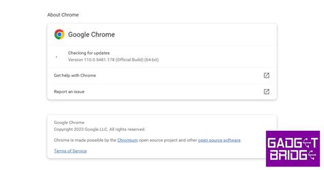 6. Make Sure Chrome is Updated