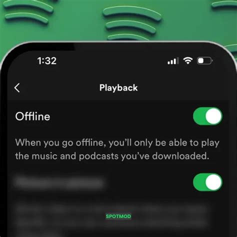 6. Premium Features: Offline Access and Streaming