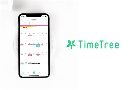 6. TimeTree
