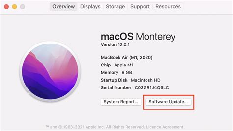 6. Update your Mac