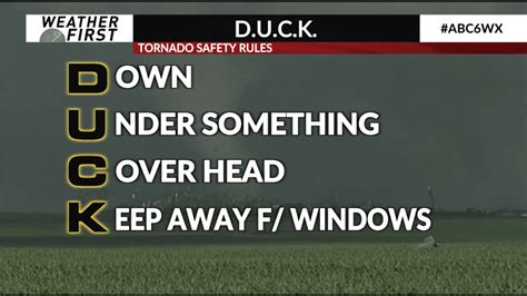 6. Weather Duck