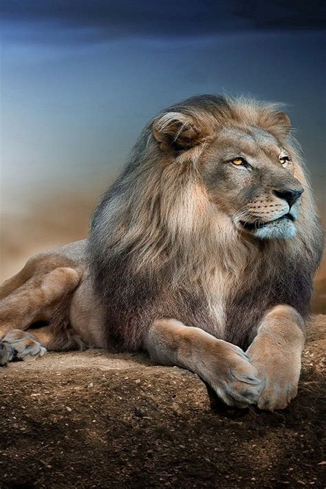 640X960 HD Wallpapers 29th Set
