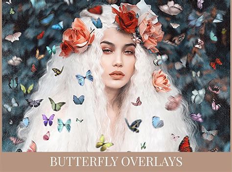 Download 684  Butterfly Patterns Design Bundle Background Creativefabrica Free PSD Mockups