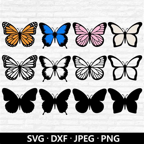 Download 684  Butterfly Patterns Design Bundle Background Cricut SVG DXF Files