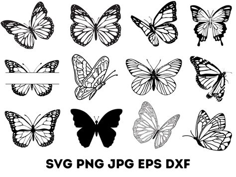 Download 684  Butterfly Patterns Design Bundle Background Silhouette DXF Files