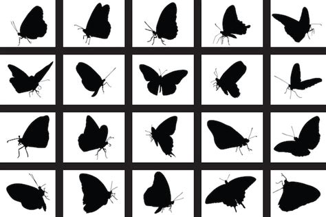 Download 684  Butterfly Patterns Design Bundle Background Silhouette For Crafts