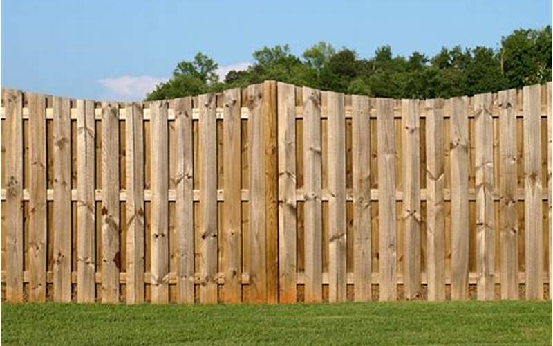6X8 Wooden Privacy Fence Panels: Everything You Need To Know