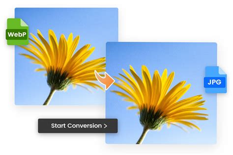 Rossy Mendoza biografa, edad, altura, esposa, net worth, familia