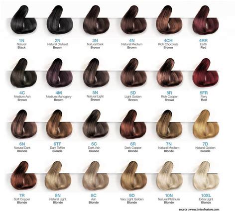 Everything You Need To Know About 6N Hair Color
