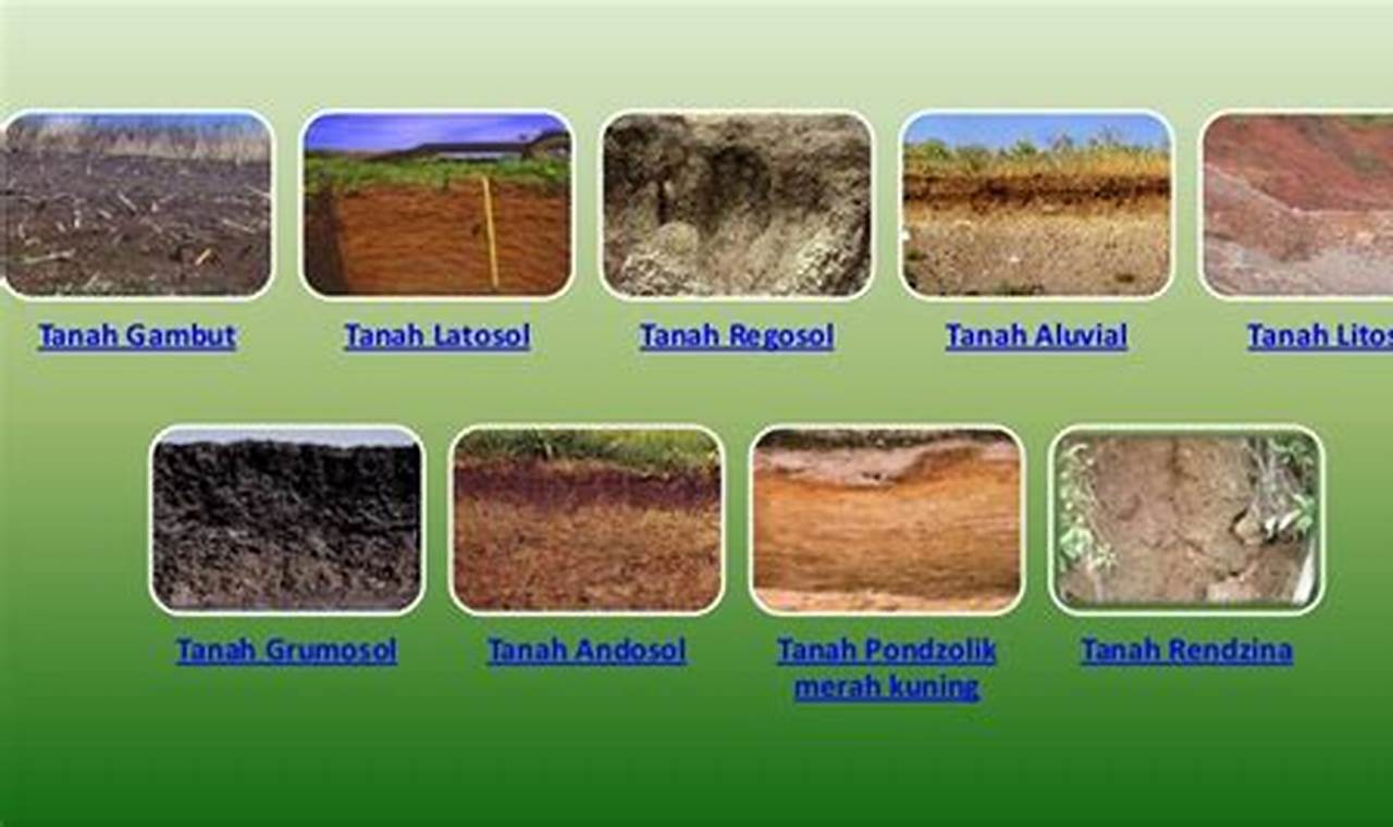 7 Apa saja jenis jenis tanah?