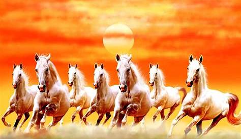 7 Horse Images Hd Wallpapers Seven Running s Painting Print Wall Sticker
