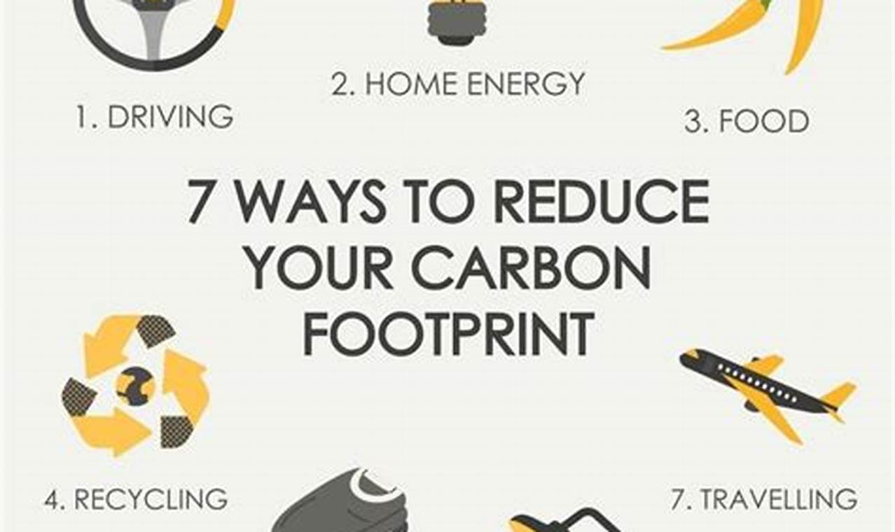 7 rekomendasi carbon footprint pdf