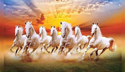 Image Result For Seven Horse Hd Image Canvas Frame, 7