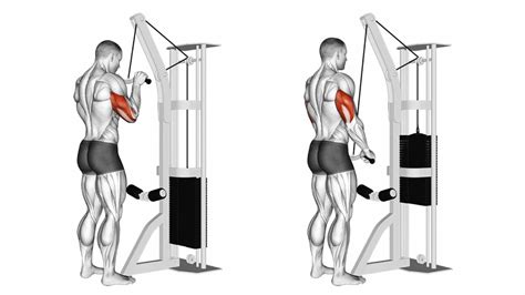Tricep Push Down Machine