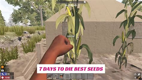 7 Days To Die Coffee Beans