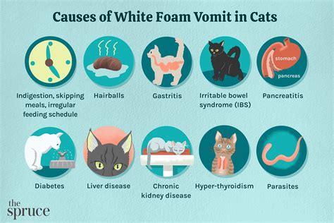 7 Essential First Aid Tips for Cats Vomiting Foam