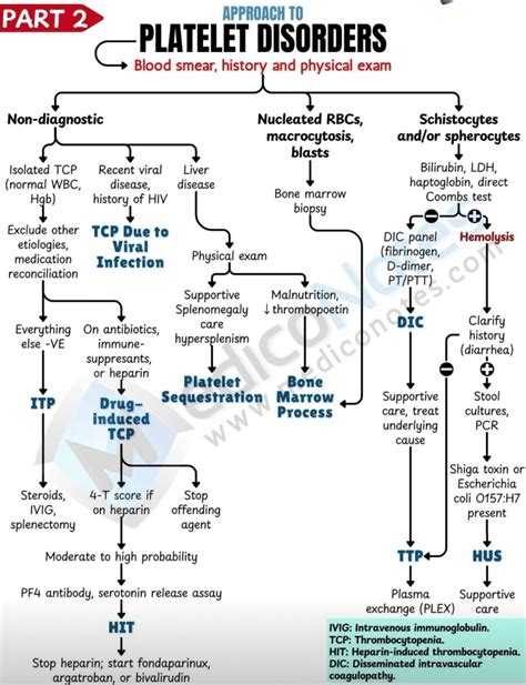 7 Essential Insights: Understanding Platelets and Related Disorders