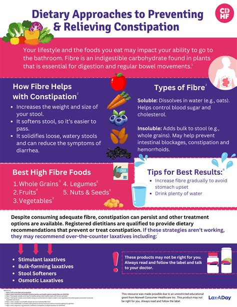 7 Essential Tips for Digestive Health and Constipation Prevention