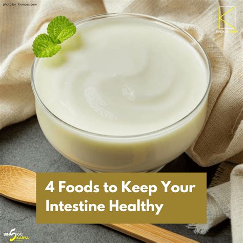 7 Essential Tips for Keeping Your Large Intestine Healthy