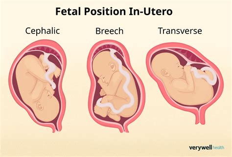 7 Essential Tips for Maintaining Your 4-Week-Old Fetus Health
