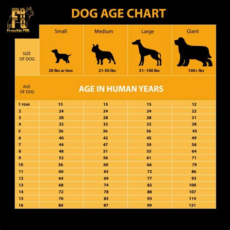 7 In Dog Years