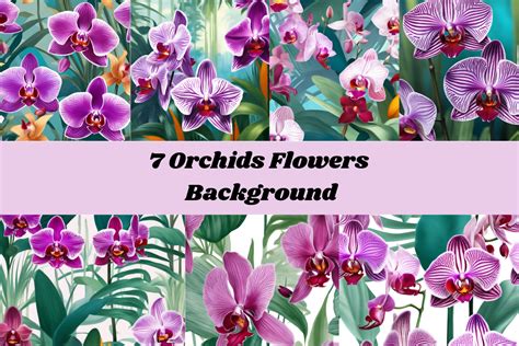 7 Orchids