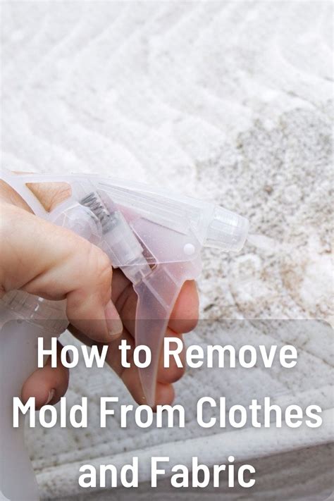 7 Proven Methods to Remove Mold from Clothes Effortlessly