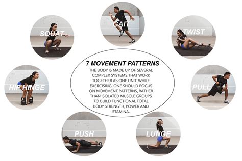 7 Basic Exercise Movements  A Comprehensive Guide