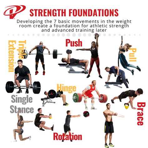 7 Basic Exercises You Need To Know For A Healthy Lifestyle