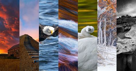 7 photography