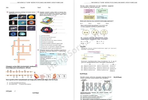 6. Sınıf Fen Bilimleri 2. Dönem 1. Yazılı Soruları 20182019