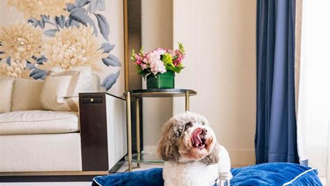 7. Pack Smart, Pet Friendly Hotel