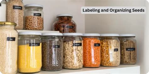 7. Organize seeds, string and labels in smaller containers