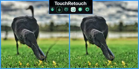 7. TouchRetouch