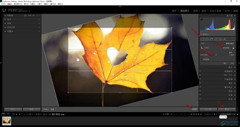 7. Visualization and Lightroom