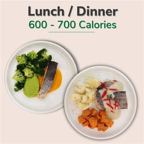 700 Kcalの真実！独占取材が明かす肉体改造と健康効果の全貌