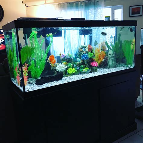 75 gallon fish tank size