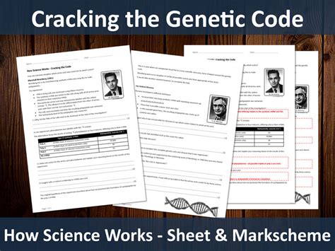 8 Best Images of Cracking Your Genetic Code Worksheet - Worksheet