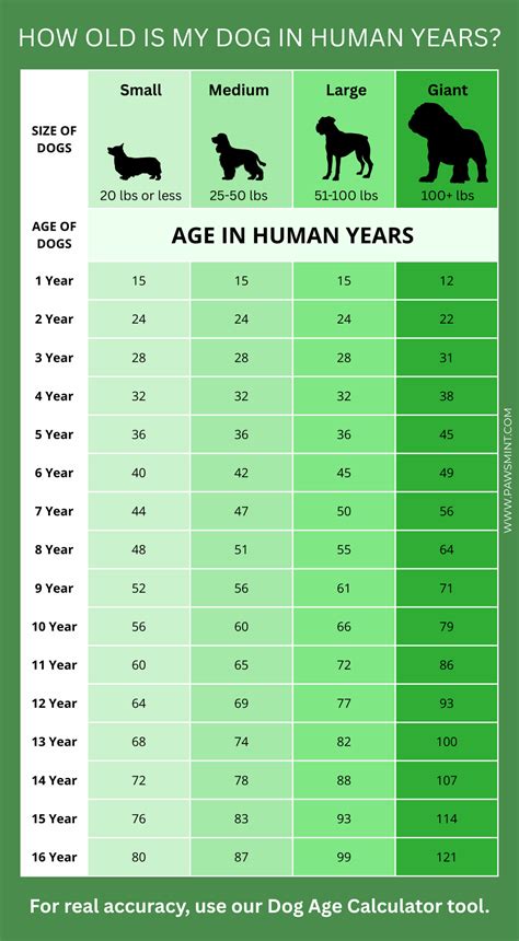 8 In Dog Years