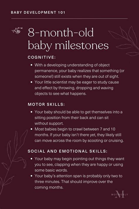 Reaching New Heights: 8 Month Milestones for Your Little One