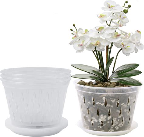 8 Orchid Pot