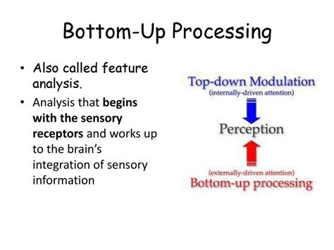 Unlock the Perception Boost: 8 Groundbreaking Bottom-Up Processing Strategies