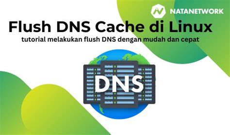 8. Flush DNS (Domain Name System) Cache