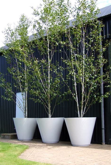 8. Make a statement with a potted tree