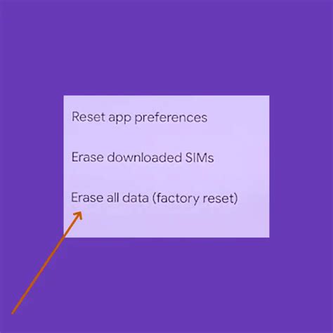 8. Perform a factory reset