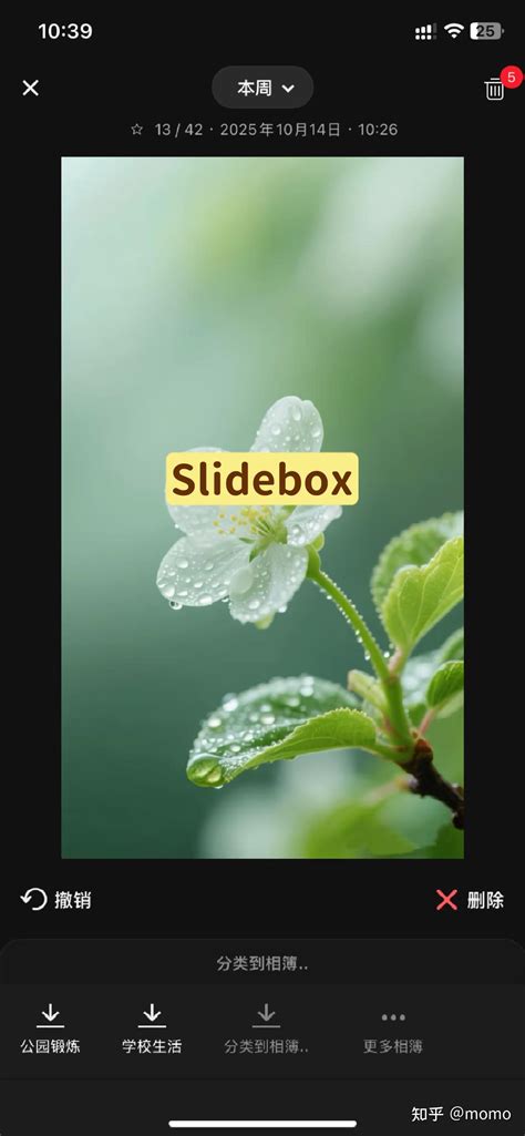 8. Slidebox
