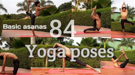 84 asanas de hatha yoga