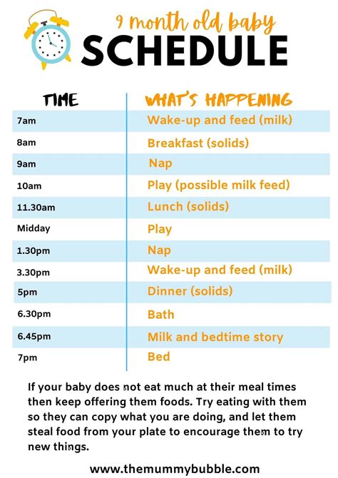 9 Month Baby Sleep Schedule