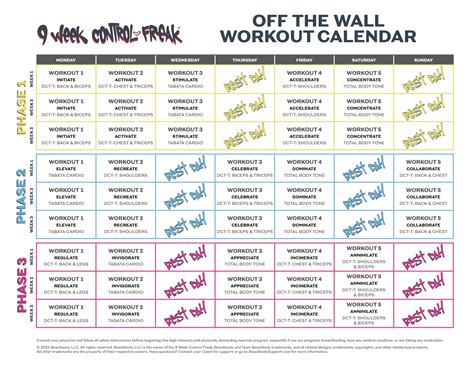 9 Week Control Freak Off The Wall Calendar