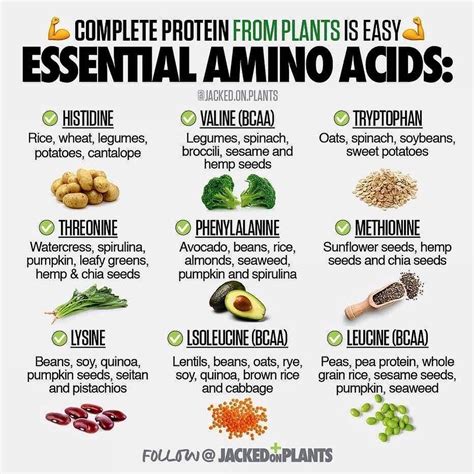 Amino Acids Foods